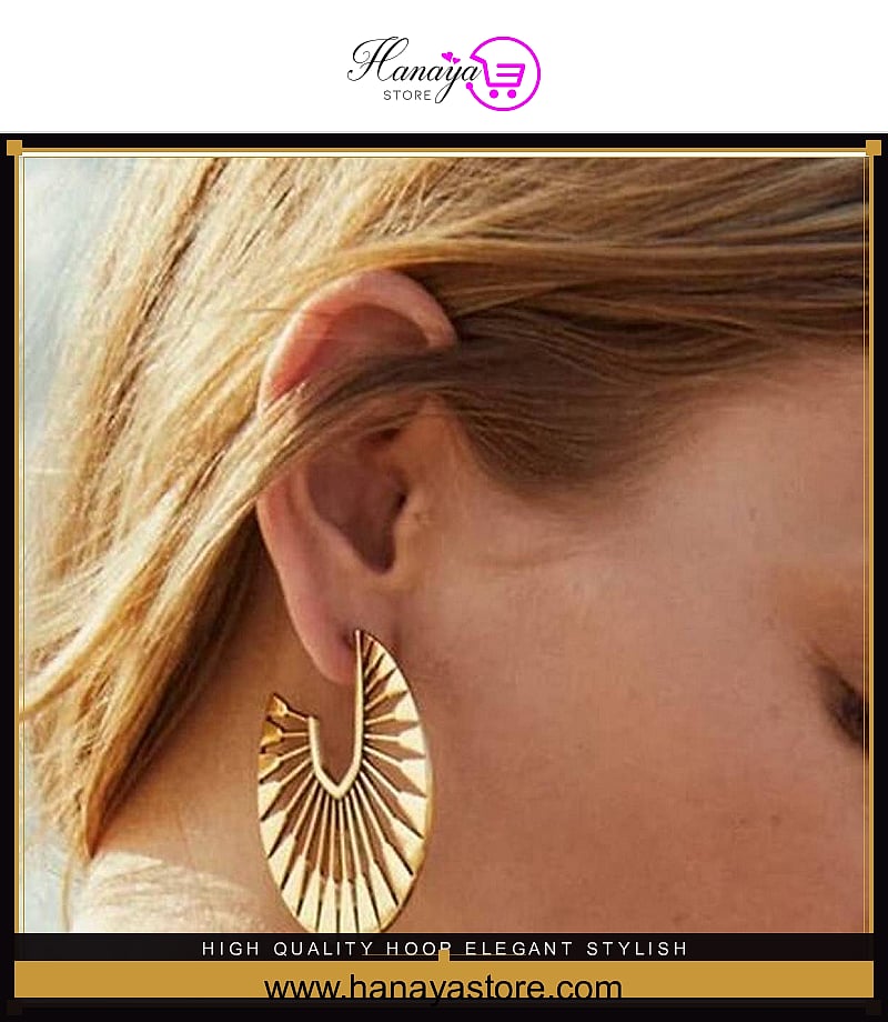 High Quality Hoop Elegant Stylish Fashionable Earring – Earrings Online in Pakistan | Hanaya
