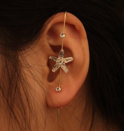 Stylish Premium Ear Wrap Crystal Hook Classy Royal Party Elegant Earrings – Earrings Online in Pakistan | Hanaya