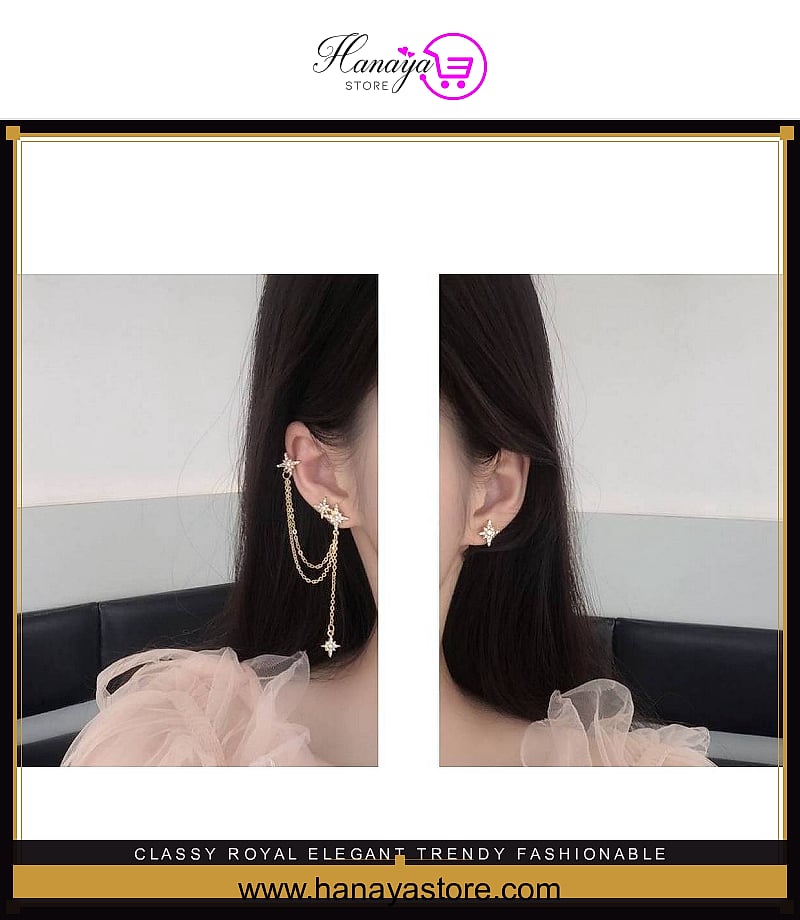 Classy Royal Elegant Trendy Fashionable Earring – Earrings Online in Pakistan | Hanaya