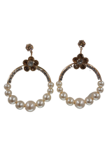 Trendy Royal Crystal Elegant Stylish Earrings for Women – Earrings Online in Pakistan | Hanaya