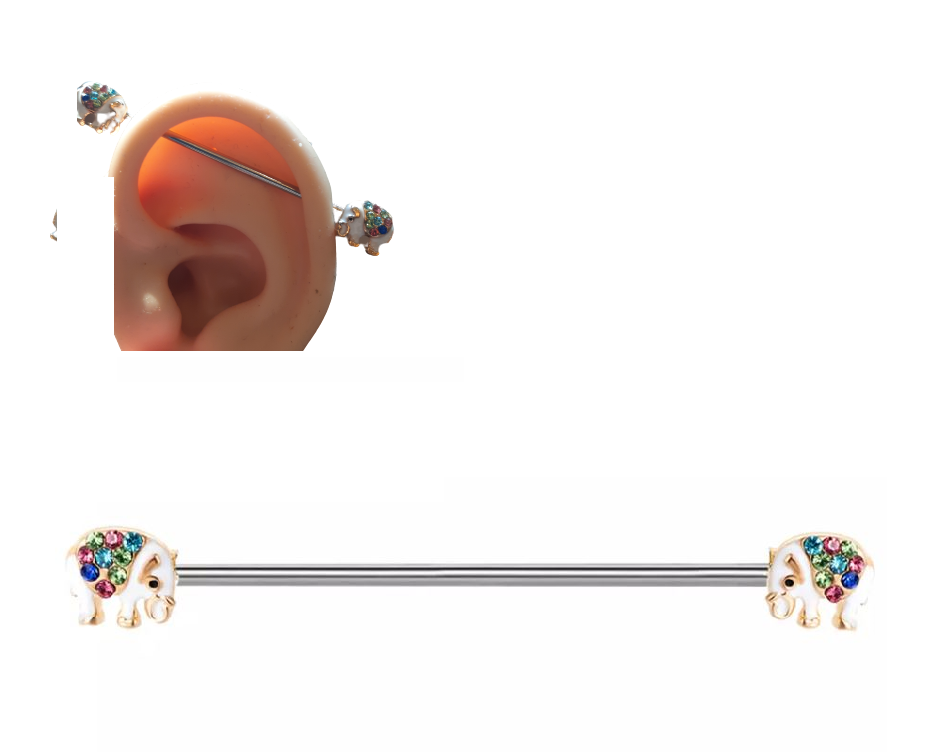 Steel 38mm Ear Plug 14G Piercing Industrial Cartilage Ear Jewelry for Everyday Wear – Earrings Online in Pakistan | Hanaya