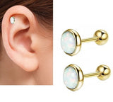 Piercing 2 Pieces 5MM Crystal Cartilage Helix Stud Ear Piercing Plug Steel Earring