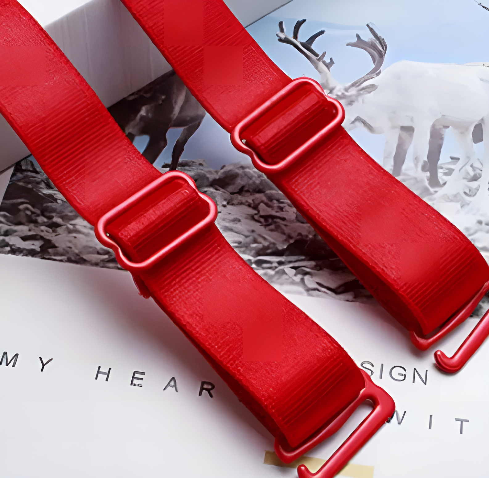 1 PAIR Thin Adjustable Bra Strap Bra Strap Women Bra Shoulder Strap Elastic Anti Slip Adjustable Detachable Ladies Bra Accessory