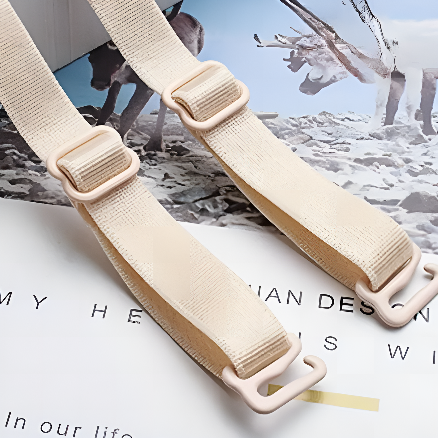 1 PAIR Thin Adjustable Bra Strap Bra Strap Women Bra Shoulder Strap Elastic Anti Slip Adjustable Detachable Ladies Bra Accessory