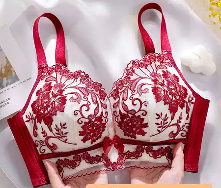 Premium Embrioded Bridal Wedding Bra Padded Coushined Seamless Bra Women's Bras Padded Seamless Soft Design Four Rows Of