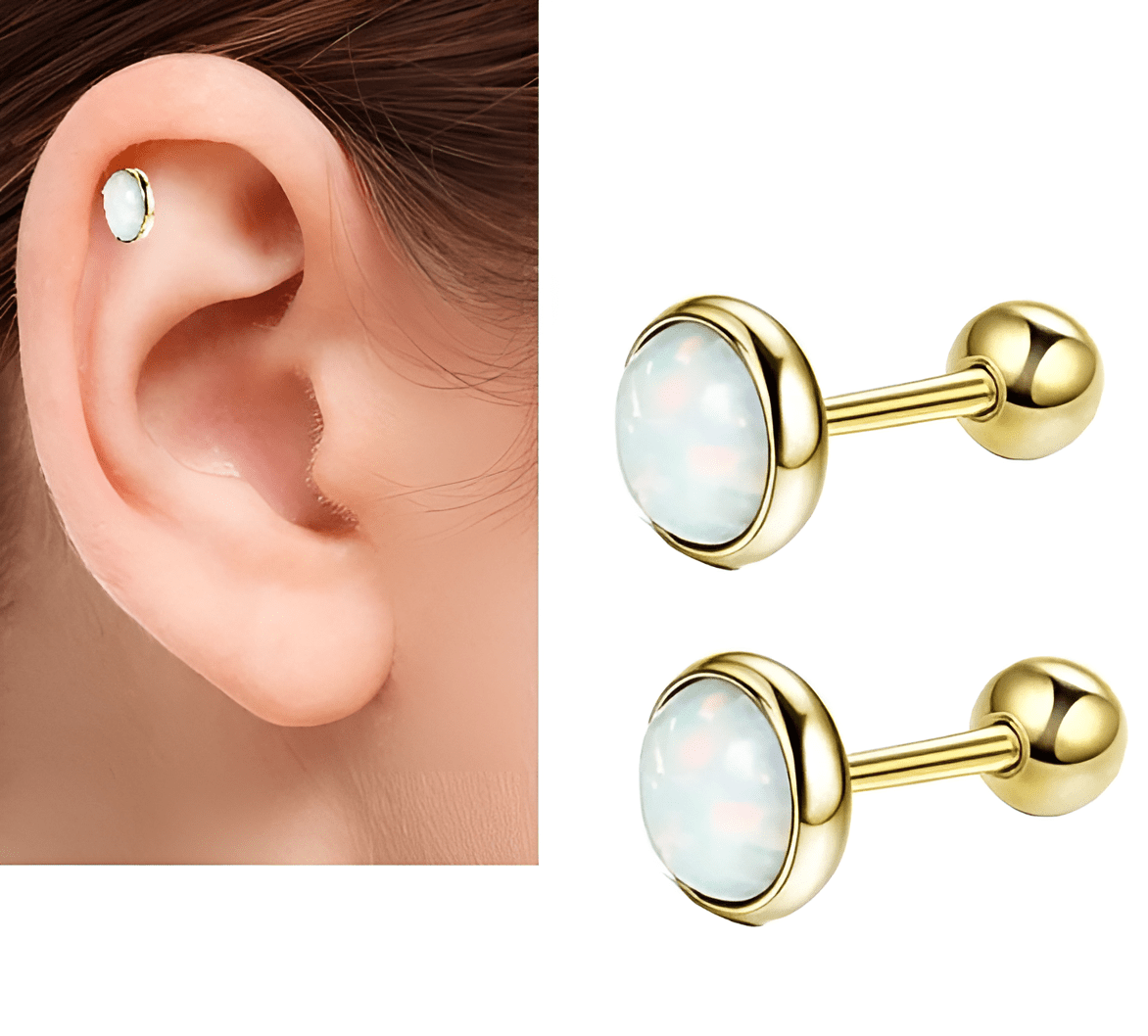 DAITH HELIX Piercing SNUG 2 Pieces 5MM ORBITAL Crystal Cartilage TRAGUS LOBE Helix Stud Ear ROOK Piercing Plug Steel Earring - Hanaya Store