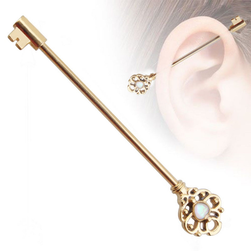 Body Jewelry Essentials Steel 38mm Ear Plug 14G Piercing Industrial Cartilage – Earrings Online in Pakistan | Hanaya