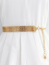 Trendy Waist Chain for Women Belt for Girls Kamar Band Stylish Slim Belt for Women Elegant Fashion Accessory Classy Waist Jewelry for Ladies – Buy belts online in Pakistan