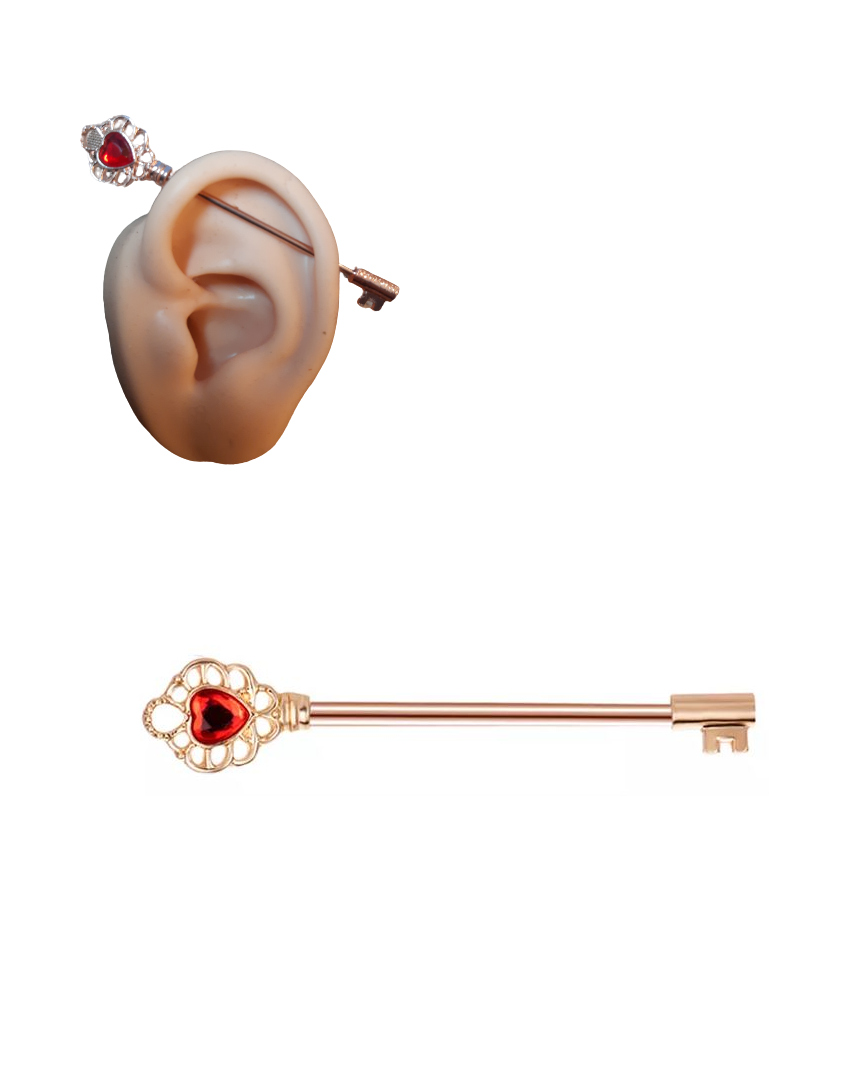 Modern Steel 38mm Ear Plug 14G Piercing Industrial Cartilage Ear Jewelry for Helix – Earrings Online in Pakistan | Hanaya