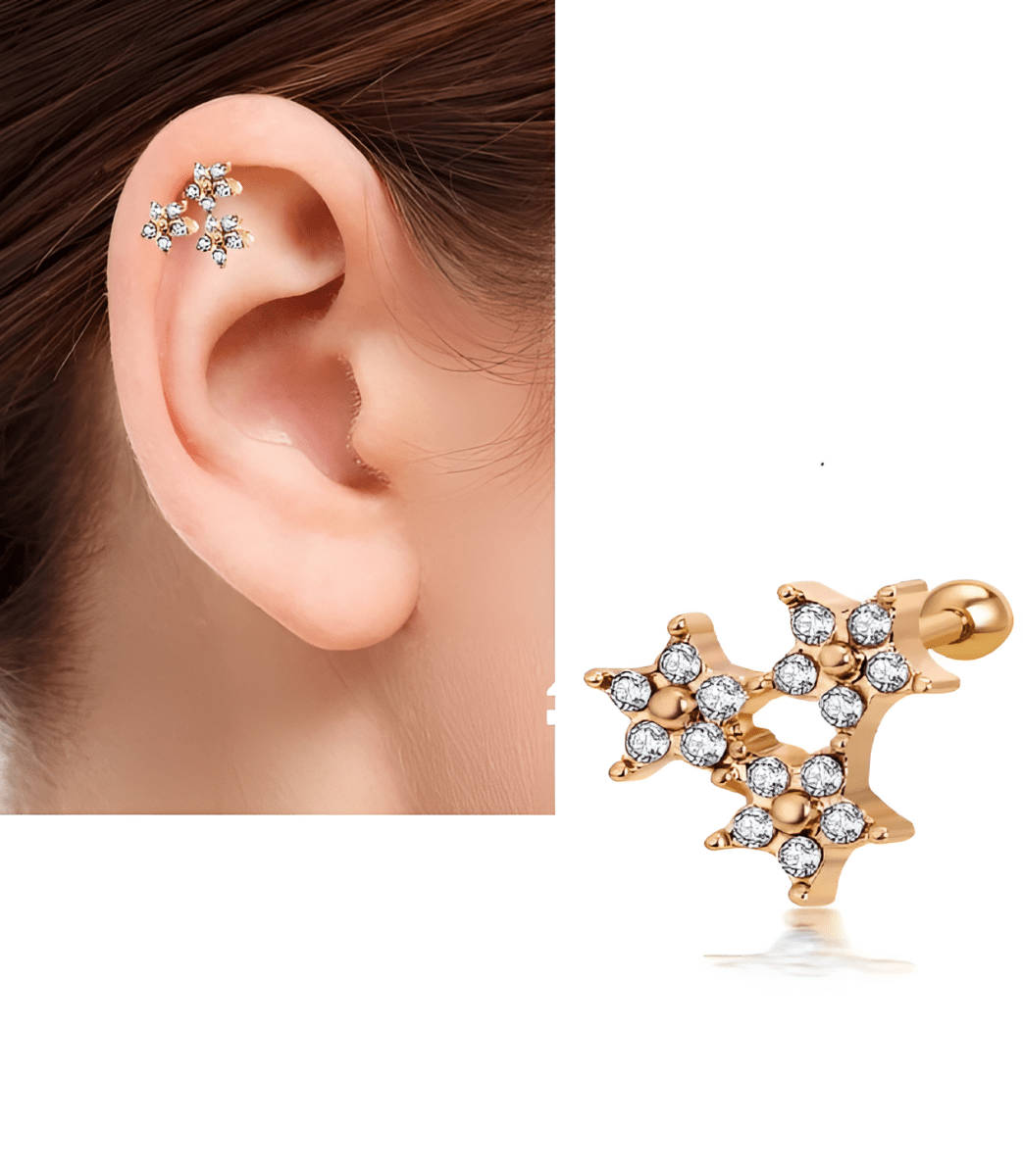 Piercing LOBE 1 ROOK Piece DAITH Cartilage Helix Stud Ear ORBITAL SNUG TRAGUS Piercing Plug Steel Earring HELIX - Hanaya Store