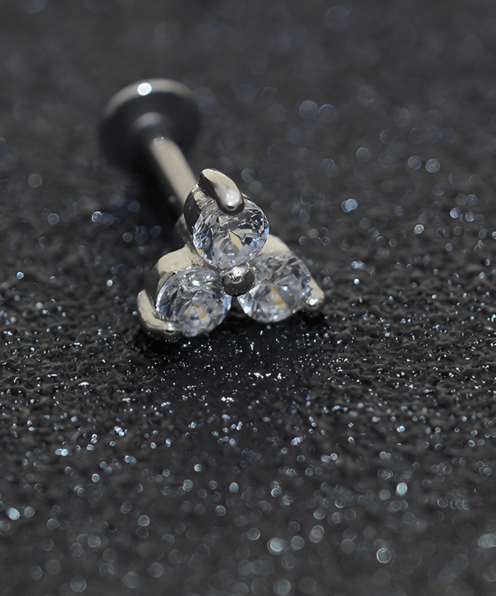 Piercing ROOK 1 TRAGUS Piece Cartilage LOBE SNUG Helix DAITH Stud Ear Piercing Classy Plug ORBITAL Steel HELIX Earring - Hanaya Store