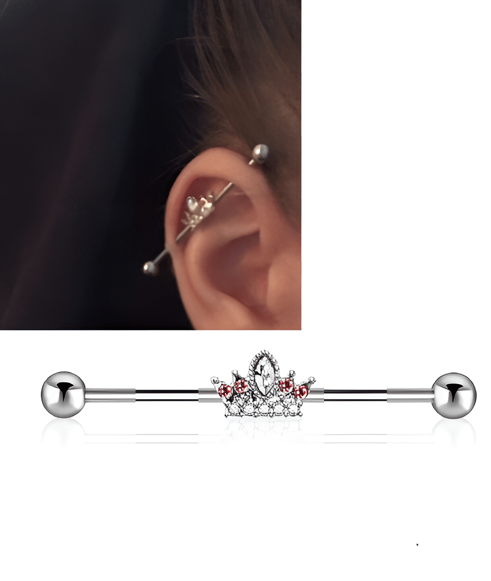 Trendsetting Ear Jewelry Steel 38mm Ear Plug 14G Piercing Industrial Cartilage - Hanaya Store